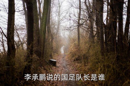 李承鵬說的國足隊(duì)長是誰