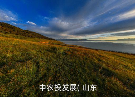  中農投發(fā)展( 山東