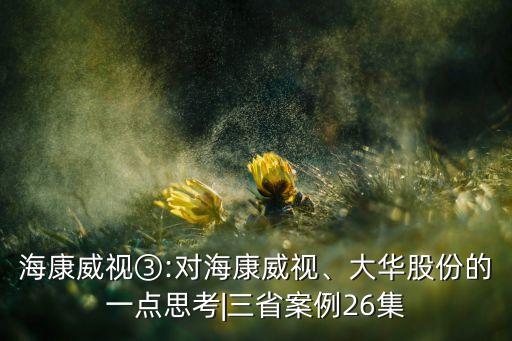 海康威視③:對?？低?、大華股份的一點思考|三省案例26集