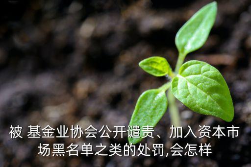被 基金業(yè)協(xié)會(huì)公開(kāi)譴責(zé)、加入資本市場(chǎng)黑名單之類的處罰,會(huì)怎樣