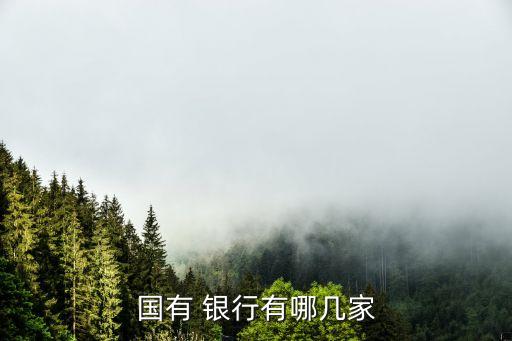 哪家銀行是國家的,國家哪家銀行實(shí)力雄厚