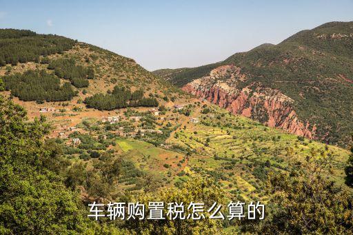車(chē)輛購(gòu)置稅怎么算的