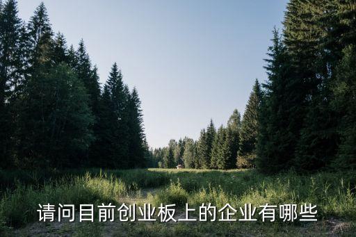 請(qǐng)問目前創(chuàng)業(yè)板上的企業(yè)有哪些