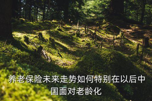  養(yǎng)老保險(xiǎn)未來走勢(shì)如何特別在以后中國面對(duì)老齡化