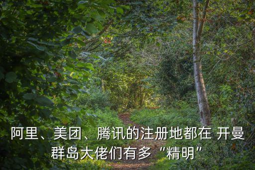 阿里、美團、騰訊的注冊地都在 開曼群島大佬們有多“精明”