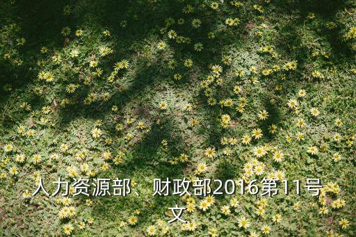 人力資源部、財(cái)政部2016第11號文