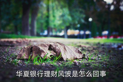 江蘇國銀投資有限公司破產公告,江蘇奧銀投資有限公司是干什么的