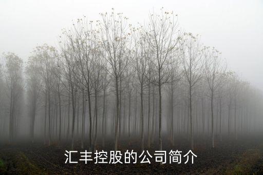 匯豐控股的公司簡介