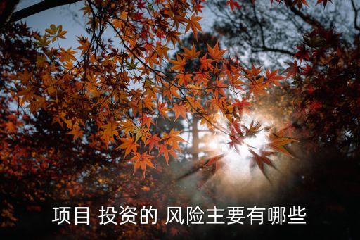 項(xiàng)目 投資的 風(fēng)險主要有哪些