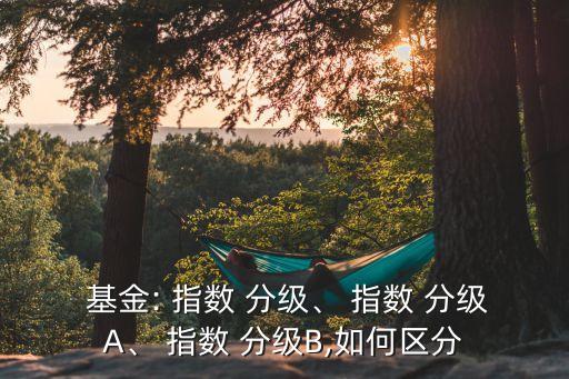  基金: 指數(shù) 分級、 指數(shù) 分級A、 指數(shù) 分級B,如何區(qū)分