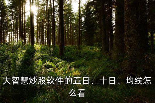 大智慧炒股軟件的五日、十日、均線怎么看