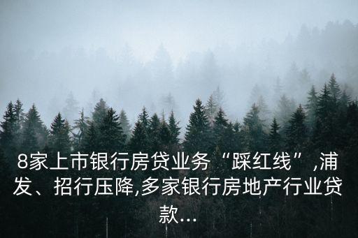 8家上市銀行房貸業(yè)務(wù)“踩紅線”,浦發(fā)、招行壓降,多家銀行房地產(chǎn)行業(yè)貸款...
