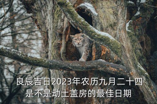  良辰吉日2023年農歷九月二十四是不是動土蓋房的最佳日期