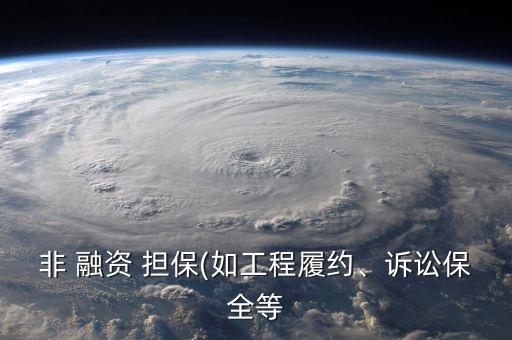 非 融資 擔(dān)保(如工程履約、訴訟保全等