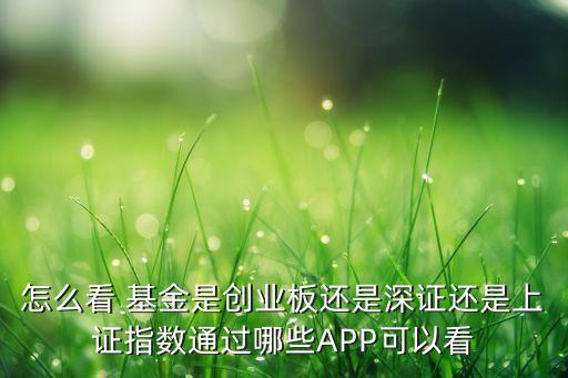 怎么看 基金是創(chuàng)業(yè)板還是深證還是上證指數(shù)通過(guò)哪些APP可以看