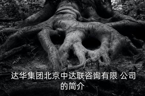  達(dá)華集團(tuán)北京中達(dá)聯(lián)咨詢(xún)有限 公司的簡(jiǎn)介