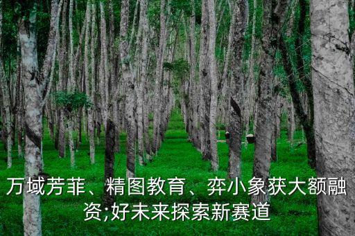 萬域芳菲、精圖教育、弈小象獲大額融資;好未來探索新賽道