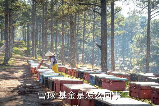 000554中國夢(mèng)基金