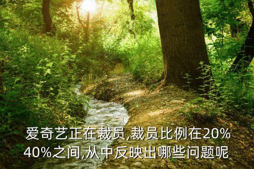 愛奇藝公司架構,北京愛奇藝公司好進嗎