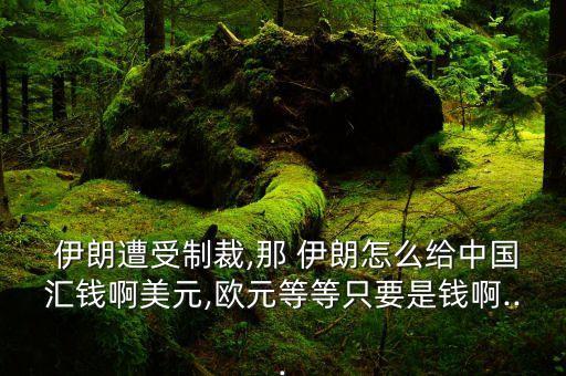  伊朗遭受制裁,那 伊朗怎么給中國(guó)匯錢啊美元,歐元等等只要是錢啊...