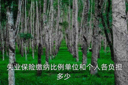  失業(yè)保險繳納比例單位和個人各負擔(dān)多少