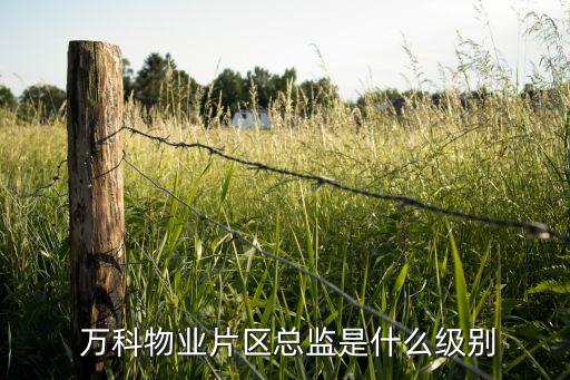 北京萬科的領(lǐng)導班子,上海萬科領(lǐng)導班子名單