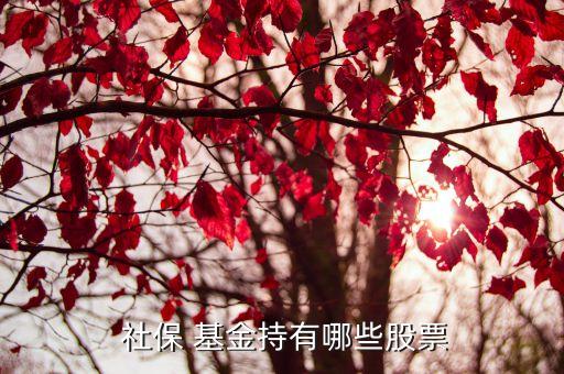社?；鹚囊蝗M合,全國社?；鹚囊蝗M合最新持股明細(xì)