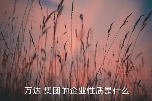  萬達 集團的企業(yè)性質是什么