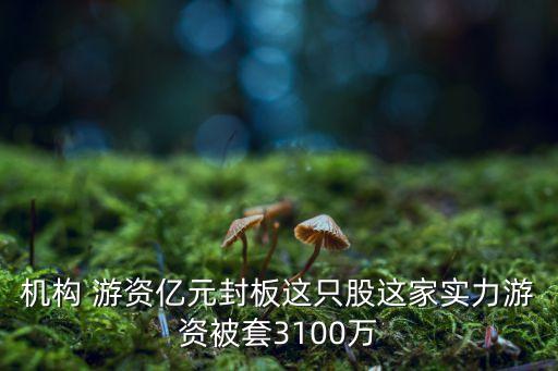 銀泰資源股份有限公司,銀泰財(cái)產(chǎn)保險股份有限公司