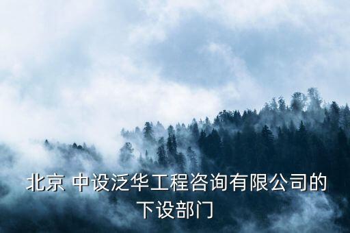 北京 中設(shè)泛華工程咨詢有限公司的下設(shè)部門(mén)
