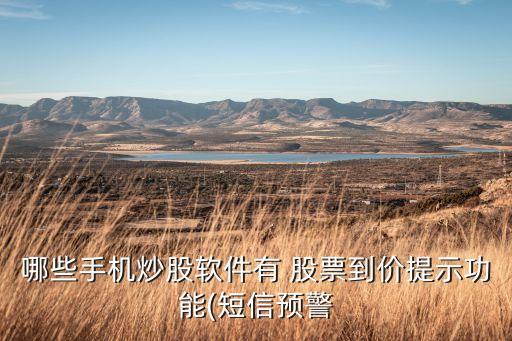 哪些手機(jī)炒股軟件有 股票到價提示功能(短信預(yù)警