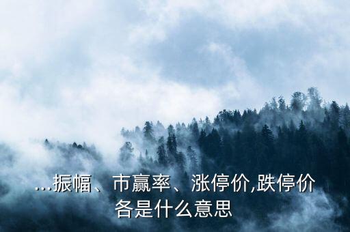 ...振幅、市贏率、漲停價(jià),跌停價(jià)各是什么意思