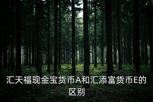 匯天?，F(xiàn)金寶貨幣A和匯添富貨幣E的區(qū)別