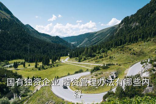 國有獨資企業(yè) 融資管理辦法有哪些內容