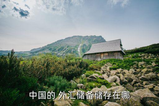 中國的 外匯儲(chǔ)備儲(chǔ)存在哪