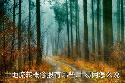 土地流轉概念股有哪些,土易網怎么說