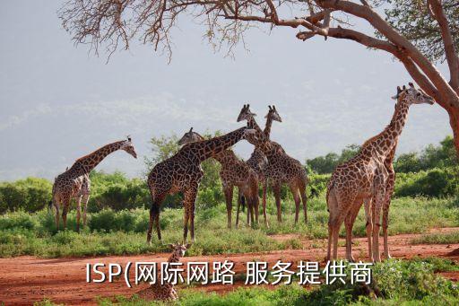ISP(網(wǎng)際網(wǎng)路 服務提供商