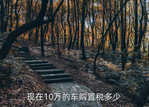 中國(guó)汽車(chē)價(jià)格和稅收