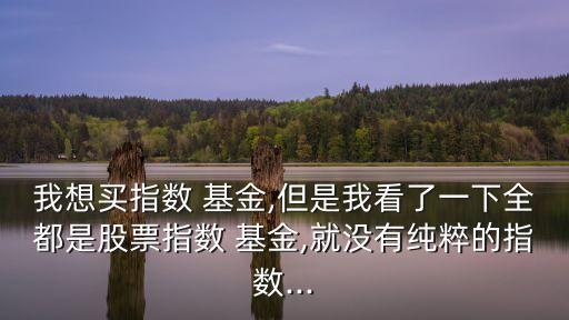 我想買(mǎi)指數(shù) 基金,但是我看了一下全都是股票指數(shù) 基金,就沒(méi)有純粹的指數(shù)...