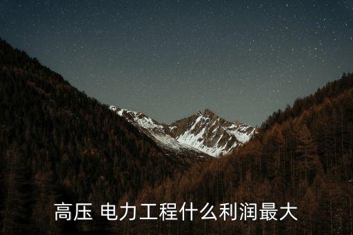高壓 電力工程什么利潤(rùn)最大