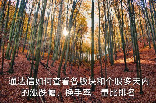  通達信如何查看各版塊和個股多天內(nèi)的漲跌幅、換手率、量比排名
