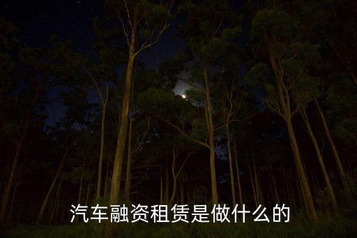  汽車(chē)融資租賃是做什么的