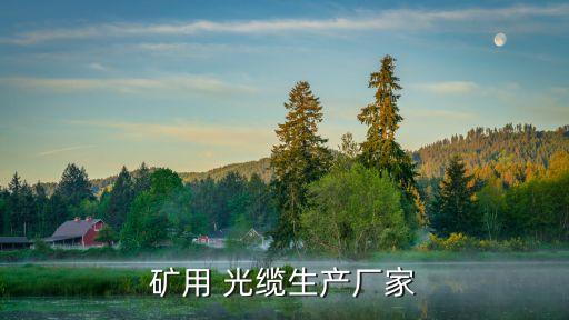 礦用 光纜生產(chǎn)廠(chǎng)家