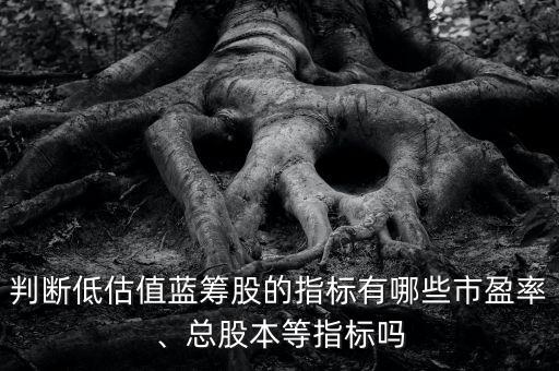 判斷低估值藍籌股的指標有哪些市盈率、總股本等指標嗎