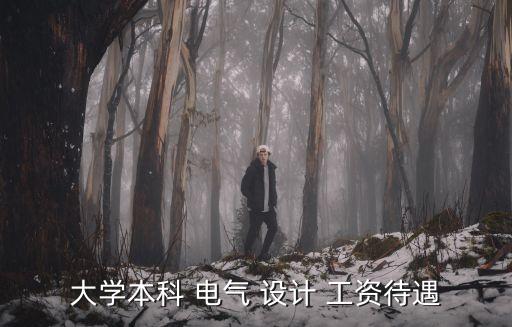 大學(xué)本科 電氣 設(shè)計(jì) 工資待遇