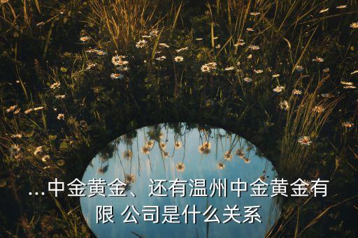...中金黃金、還有溫州中金黃金有限 公司是什么關(guān)系