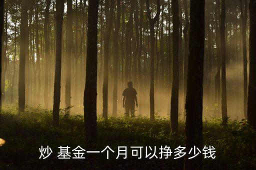 炒 基金一個(gè)月可以掙多少錢(qián)