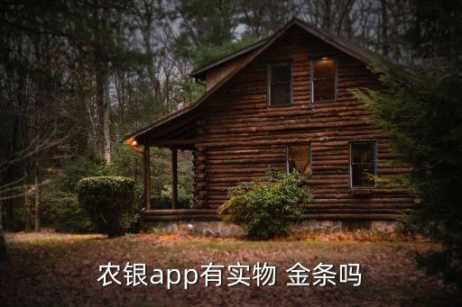 農(nóng)銀app有實物 金條嗎