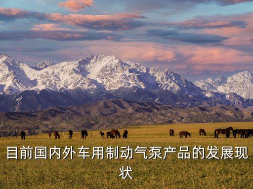 目前國(guó)內(nèi)外車(chē)用制動(dòng)氣泵產(chǎn)品的發(fā)展現(xiàn)狀