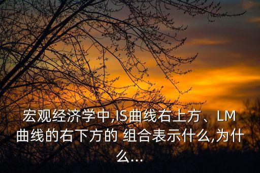宏觀經(jīng)濟(jì)學(xué)中,IS曲線右上方、LM曲線的右下方的 組合表示什么,為什么...